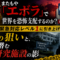 また「エボラ」で世界を恐怖支配するのか? CDCレベル1対応と日本に潜む謎施設の影 また「エボラ」で世界を恐怖支配するのか? CDCレベル1対応と日本に潜む謎施設の影