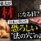 あなたの愛犬が「食材」になる日?日本に空いた恐ろしい"法の穴"の話 あなたの愛犬が「食材」になる日?日本に空いた恐ろしい"法の穴"の話