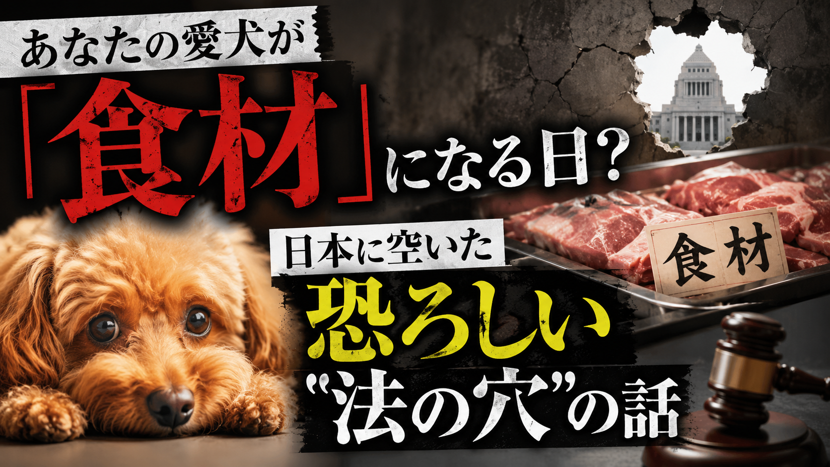 あなたの愛犬が「食材」になる日?日本に空いた恐ろしい"法の穴"の話 あなたの愛犬が「食材」になる日?日本に空いた恐ろしい"法の穴"の話