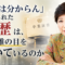 「世間は分からん」——その一言で、都知事の学歴は作られたのか 「世間は分からん」——その一言で、都知事の学歴は作られたのか