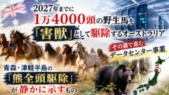 2027年までに1万4000頭の野生馬を「害獣」として駆除するオーストラリア。その裏で進むデータセンター事業