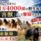 2027年までに1万4000頭の野生馬を「害獣」として駆除するオーストラリア。その裏で進むデータセンター事業 2027年までに1万4000頭の野生馬を「害獣」として駆除するオーストラリア。その裏で進むデータセンター事業